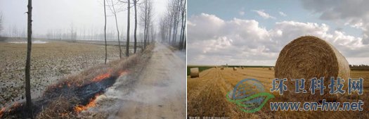 目前，我國各類秸稈年產(chǎn)量約為10億噸