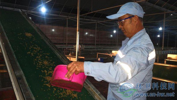 經(jīng)過篩選、蒸煮、烘干、粉碎后的蟲干、蟲粉，市場價值比蚯蚓活體高出許多 